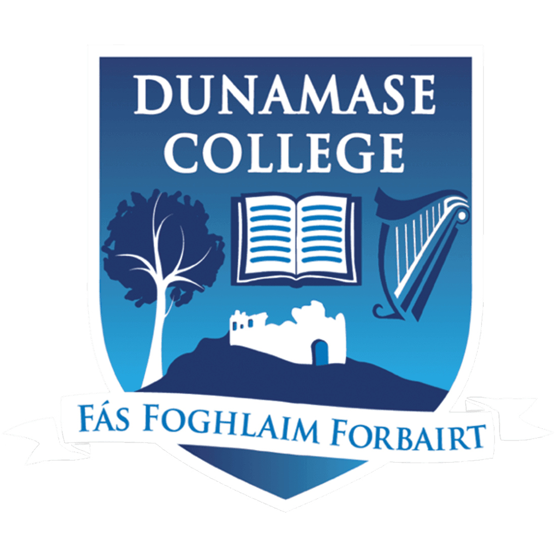 Dunamase College logo